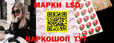 индика Тула