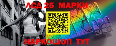 гашик Тулун