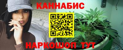 гашик Тулун