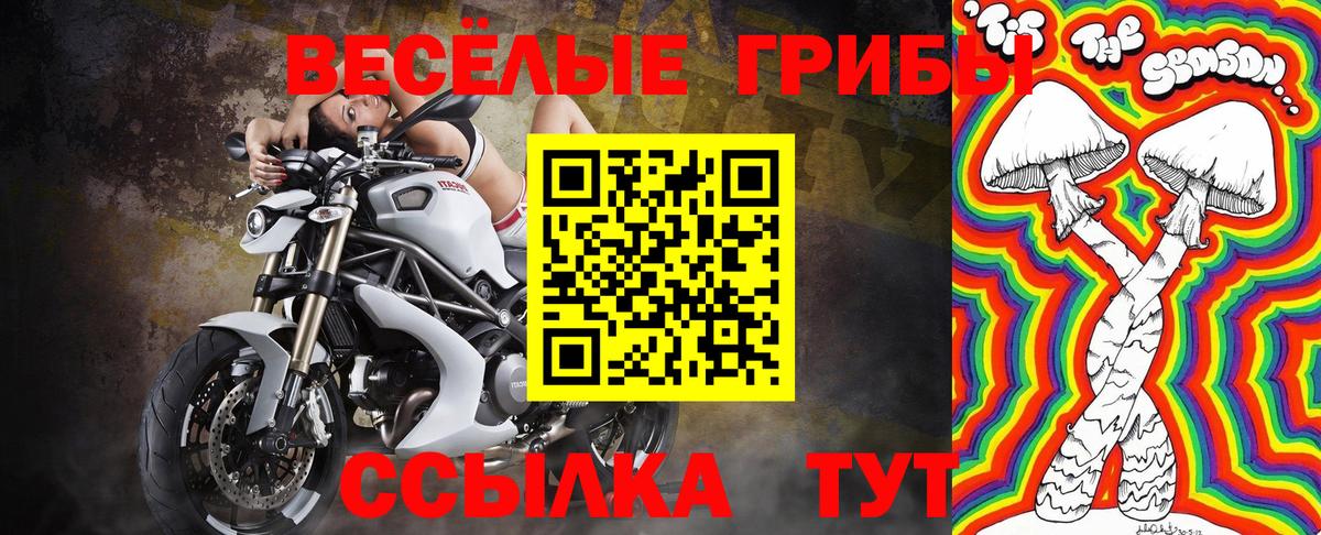 Галлюциногенные грибы Cubensis Минусинск